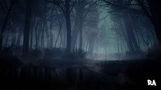 Forest with Fog | ASMR Ambience