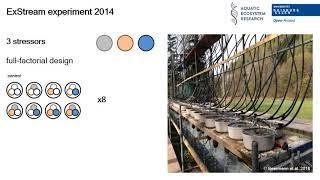 Multiple Stressor Effects on Stream Ecosystems, Virtual Poster by Marie-Thérése Werner