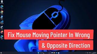 Fix Mouse Moving Pointer In Wrong and Opposite Direction In Windows 11/10/8/7