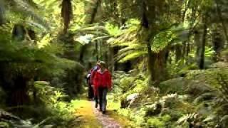 Hollyford Track - 3 Day New Zealand Wilderness Experience Ex Queenstown