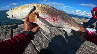 How to EASILY catch RED FISH at the JETTYS! SOUTH PADRE ISLAND,TEXAS.