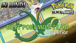 Best Team for Unova | Ft. Serperior Pokemon Black And white