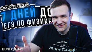 7 дней до ЕГЭ по физике| Русский всё, идем дальше! | Щелчок ЕГЭ 2024 по физике