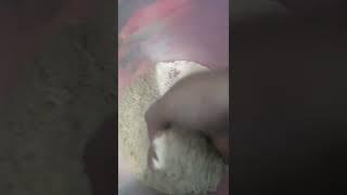 RAW RICE EATING SOUND Makan beras mentah sepanci porsi banyak suapan FULL RICE BUCKET EATING