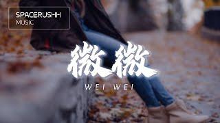 微微 Wei Wei - 傅如乔 Fu Ru Qiao 拼音 [PINYIN LYRICS]