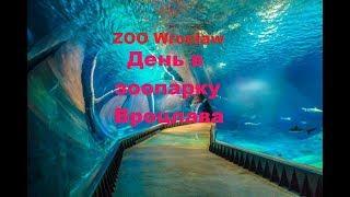 ZOO Wrocław Зоопарк Вроцлава