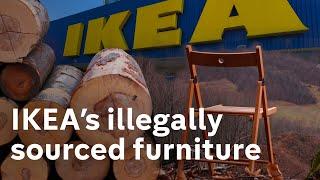 Investigation: Thousands of trees illegally felled to build IKEA’s flat pack empire