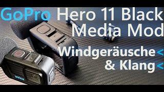 GoPro HERO 11 Black Media Mod im Outdoor-Test - versagt das Mikrofon?