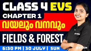 Class 4 EVS | Chapter 1 - വയലും വനവും / Fields and Forest | Xylem Class 4