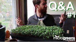 Microgreens Q&A Episode 1