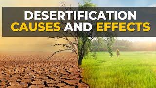 Desertification Causes and Effects | Desertification | What Is Desertification