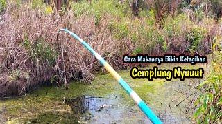 EDAN TENAN‼️ Begitu Banyak Ikan Turun Umpan Langsung di Sambar || Mancing Liar