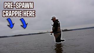 HUGE TIP WHERE TO FIND PRE-SPAWN CRAPPIE IN 2025⁉️ CRAPPIE SPAWN 2025‼️