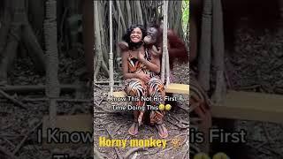 horny monkey . #9gag #gag #fun #funny_clip