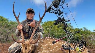 Unexpected Lanai Axis Buck | Lanai Hawaii Archery Hunt