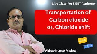 Transportation of Carbon Dioxide for NEET 2025 #NEET #Biology #Human_biology #spirometer