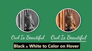 black & white to color on hover | html css | 2021