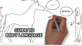 Animated guide to horse body language | Animated Series Episode 2