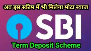 Domestic Term Deposits Scheme | Sbi New  fixed deposit scheme 2023 | Digital Banking Duniya