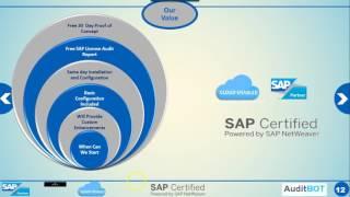 SAP SOD Risk anlaysis- Auditbot