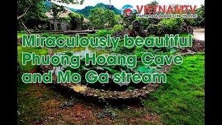 [VietNamTV] Miraculously beautiful Phuong Hoang Cave and Mo Ga stream