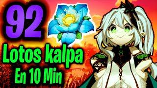 Ruta Farmeo Loto Kalpa - Sumeru | Genshin Impact