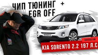 Kia Sorento 2.2  197 л.с.Чип +EGR off. Установка заглушки.