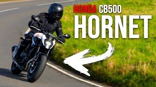 Honda CB500 Hornet Review: Does it Belong in the Hive?