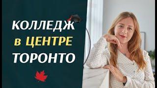 Колледжи Канады | Niagara College Toronto