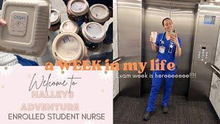 Weekly Vlog | Student Nurse Aus |  OSCAs