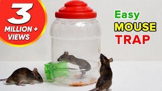 Easy Mouse Trap | DIY Mouse Trap | Rat Trap Homemade | HOW to MAKE MOUSE TRAP