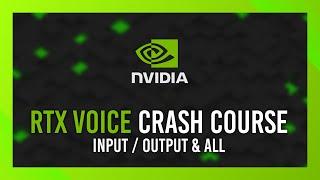 Nvidia RTX Voice | Install / Complete Guide | 2024 Crash Course