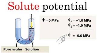 Solute potential | formula and problems for CSIR NET life sciences