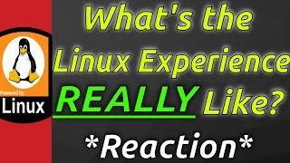 The Linux Experience *Reaction*