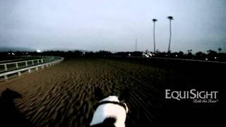 Breeders' Cup 2013 "Ever Rider"   Gallop   JockeyCam presented by EquiSight com