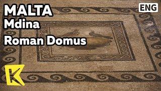【K】Malta Travel-Mdina[몰타 여행-임디나]로만 도무스 박물관/Roman Domus/Tile/Roman Villa/Heritage