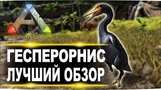 Гесперорнис Hesperornis в АРК  Лучший обзор приручение, разведение и способности  в ark