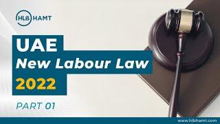 New UAE Labour Law Explained | UAE Introduced New Labour Law Effective From February 2022 #ep01