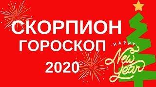 Скорпион - гороскоп на 2020 год