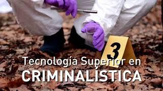 ¿Dónde estudiar criminalística?