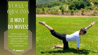 14 min / 8 MUST DO MOVES / Yoga + Qigong