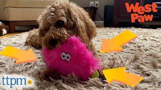 Puppies Review Squeaky Dog Toys From West Paw Dog Toys! | TTPM Pet Reviews