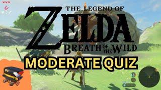 The Legend of Zelda: Breath of the Wild Quiz - (Moderate)