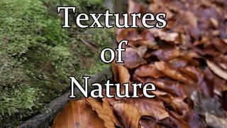 Textures of Nature