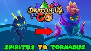 Evolving SPIRITUS to TORNADUS - Draconius GO Evolution