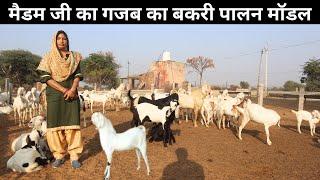 गांव की महिला चला रही इस शानदार बकरी फार्म को l  Goat Farming In India I Best Profitable Business