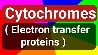 Cytochromes ( Electron transfer proteins) : structure and activity