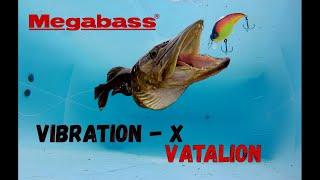 Jerkbait, Vibration-X, Vatalion,Megabass, Underwater filming