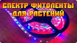 Спектр светодиодной  led ленты для растений (фитолента)