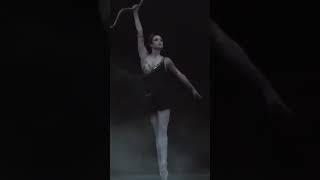 last evening at Mariinsky with mashabulanova tereshkinavv ekaterinaosmolkina alekseiVideo bynicolo